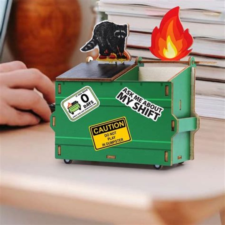 Alicia Kincheloe: The Raccoon Dumpster Fire Video Sensation