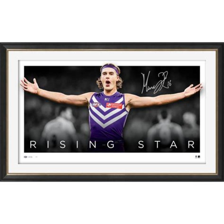 Austin Phelps: A Rising Star From Avery, TX