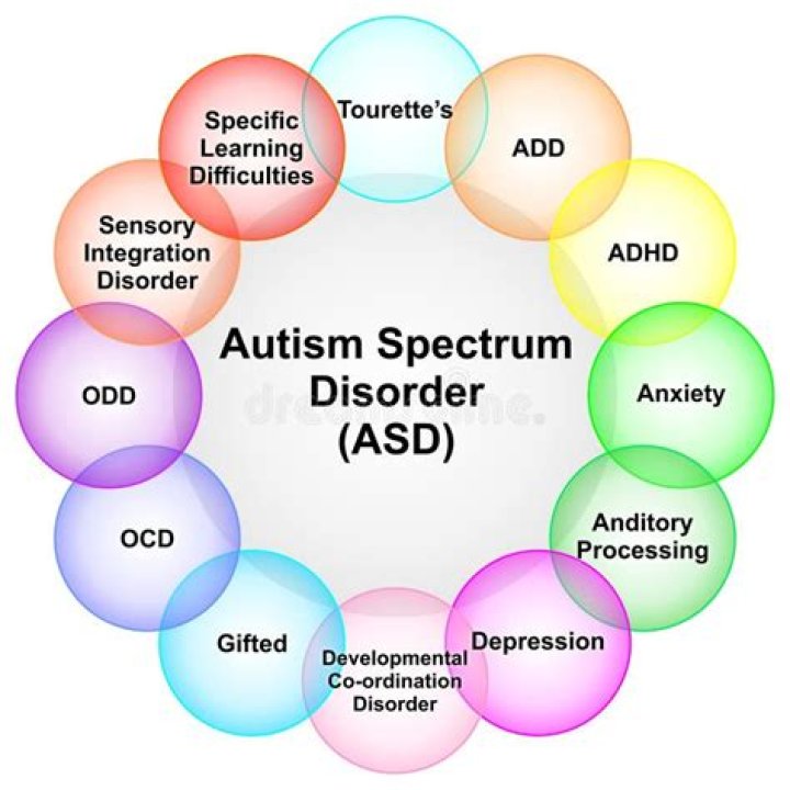 Barron Trump Autism Spectrum Disorder: A Comprehensive Guide