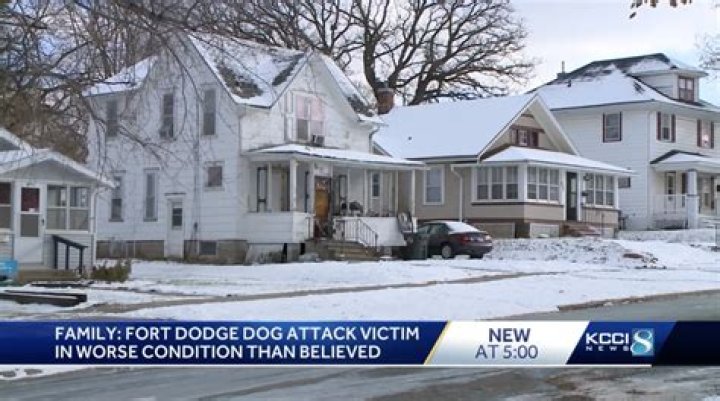 Brittany Skoland Dog Attack: A Heart-Wrenching Incident