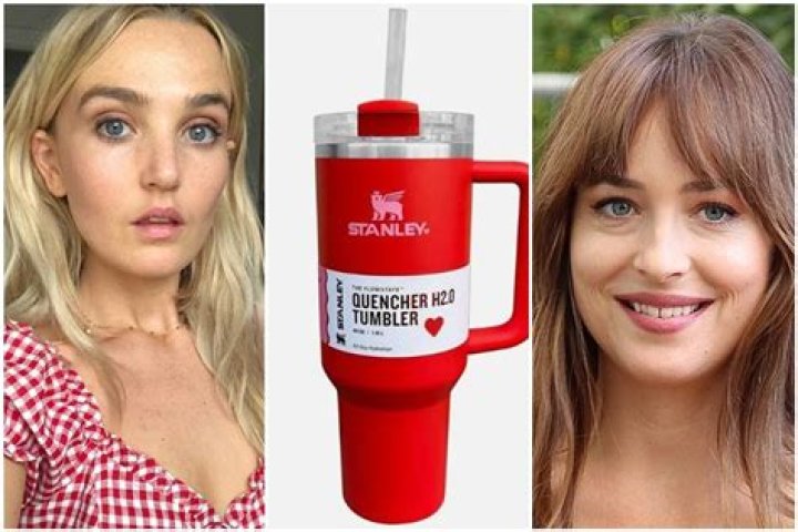 Dakota Johnson And Her Big Dumb Cup: A Quirky Trademark