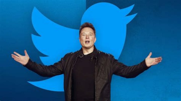 Did Elon Musk Purchase Google? Unraveling The Truth Behind The Buzz