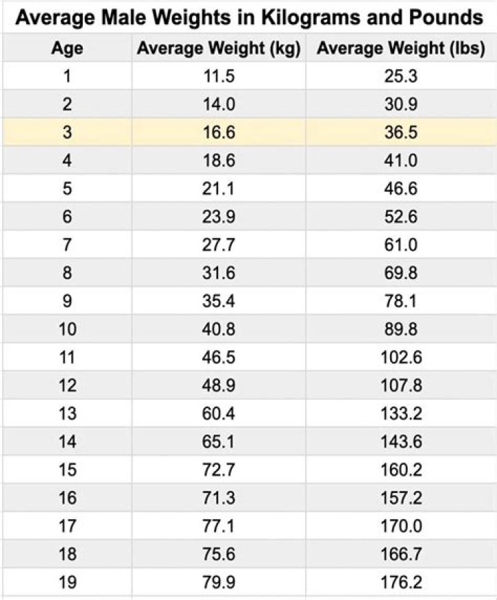 Discover Joy Bauer's Vital Statistics: Height And Weight Revealed