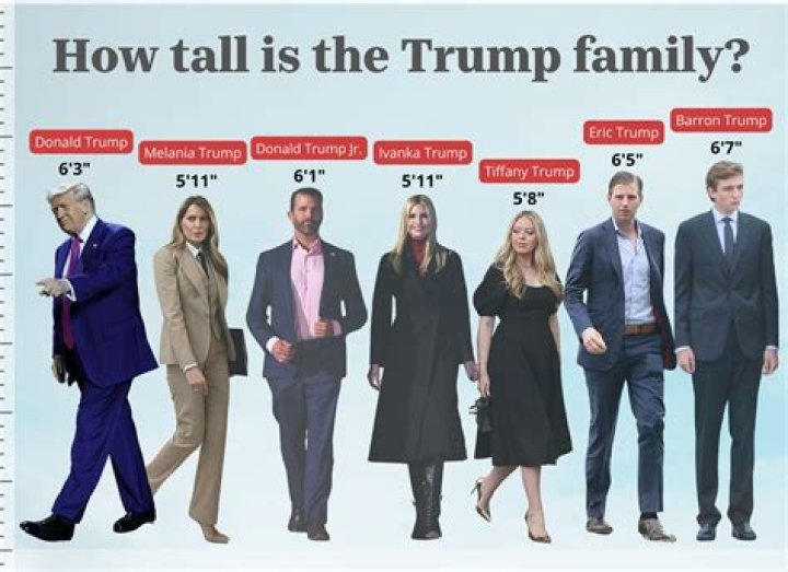 Discovering Donald Sutherland's Height: How Tall Was He?