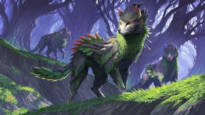 Discovering The Enigmatic Alani Rat: A Journey Into The Life Of A Unique Creature