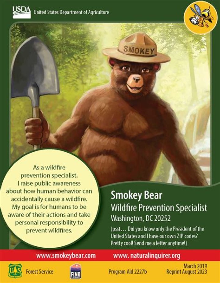 Discovering The Legend Of Smokeydabear: More Than Just A Meme