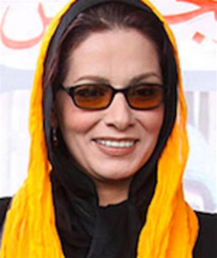 Discovering The Life And Achievements Of Vahideh Mohammadifar