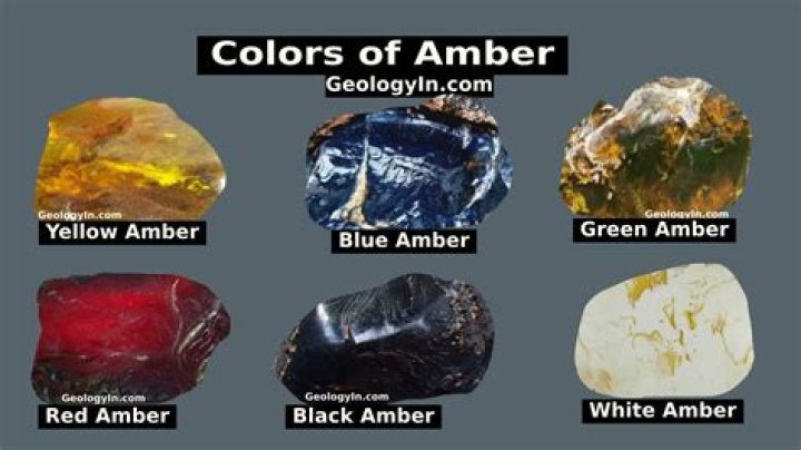 Discovering The Life And Journey Of Amber Hudson