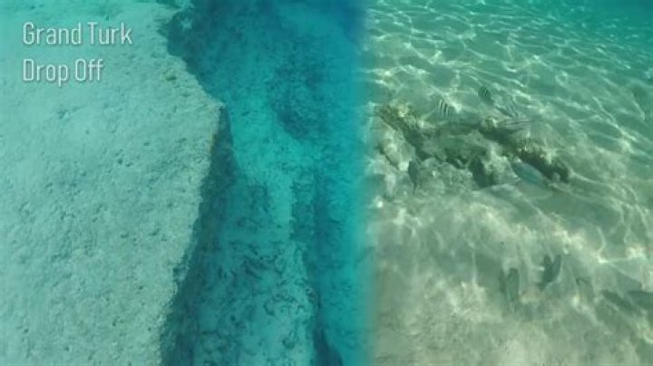 Discovering The Mysteries Of Grand Turk Ocean Drop Off