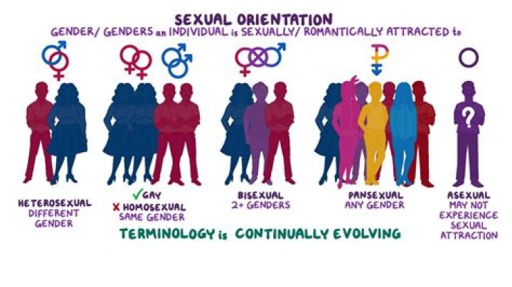 Exploring Lady Gaga's Sexual Orientation: A Journey Of Authenticity