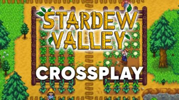 Exploring Stardew Valley Crossplay: A New Frontier For Farmers