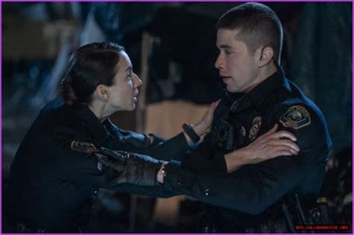 Exploring The Dynamic Career Of Troian Bellisario: Movies And TV Shows