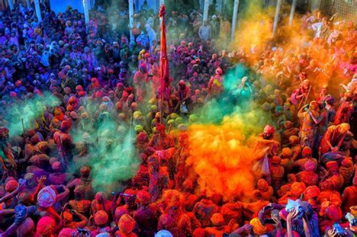 Exploring The Vibrant World Of Fotos De Mona Y Karely