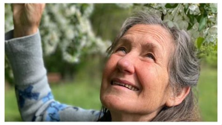 Exploring The Wisdom Of Barbara O'Neill On Celtic Salt: Nature's Mineral Treasure