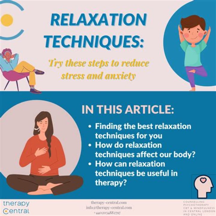 Exploring The World Of Zen 2k24: The Ultimate Experience In Relaxation And Mindfulness