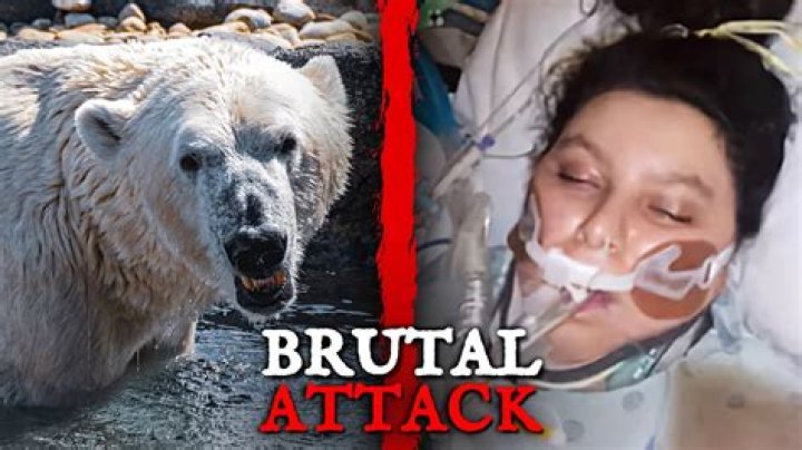Has Anyone Survived An Animal Attack On Naked And Afraid?
