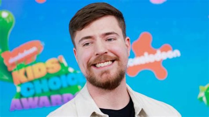 The Ex Of The YouTube Sensation: MrBeast's Former Flame