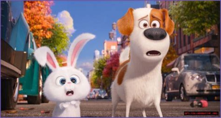 The Fascinating World Of The Secret Life Of Pets Cast