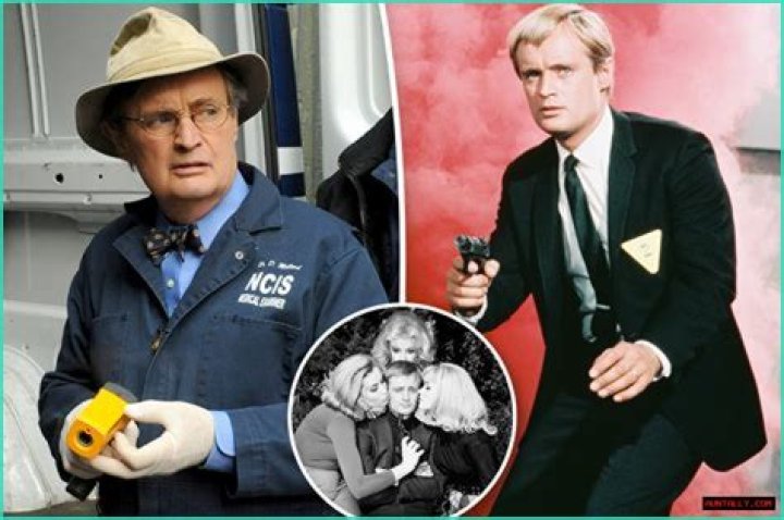 The Fate Of Ducky From NCIS: Is He Still Alive?