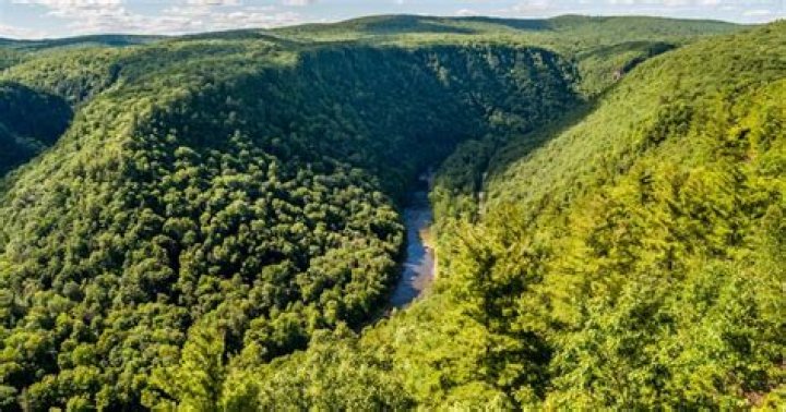 The Ultimate Guide To Celebrities Residing In The Scenic State Of Oregon