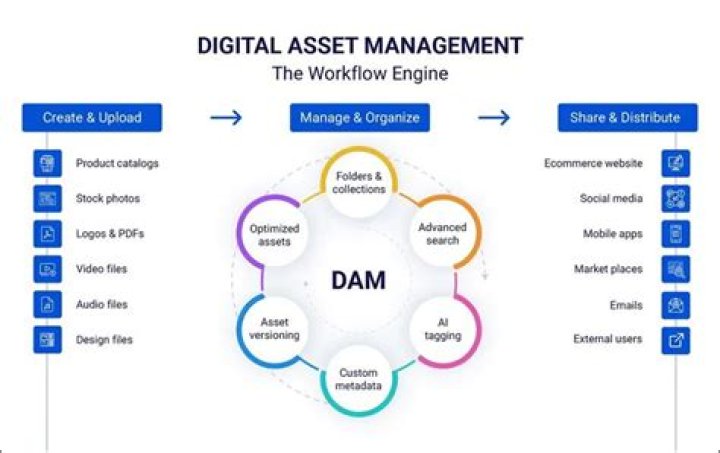 Ultimate Guide To DAMR: Exploring The Dynamics Of Digital Asset Management