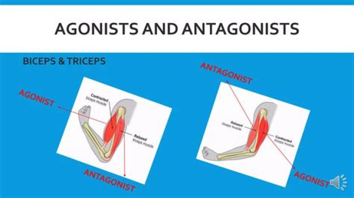 Understanding The Antagonistic Soul Meaning: A Deep Dive