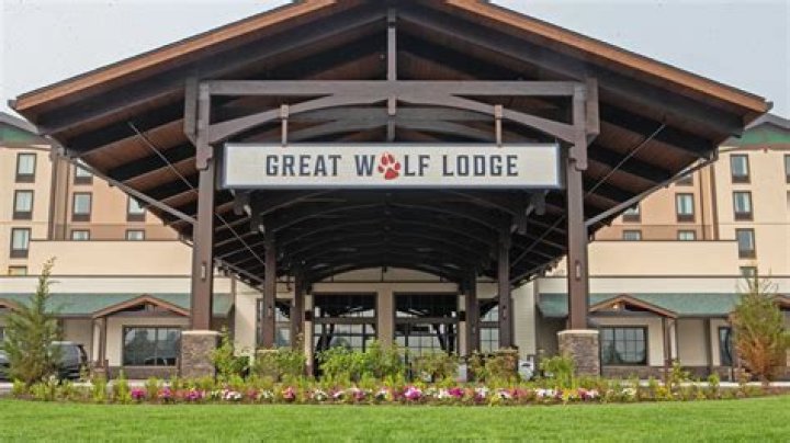 Unlocking The Magic Of The Great Wolf Lodge Gold Wristband