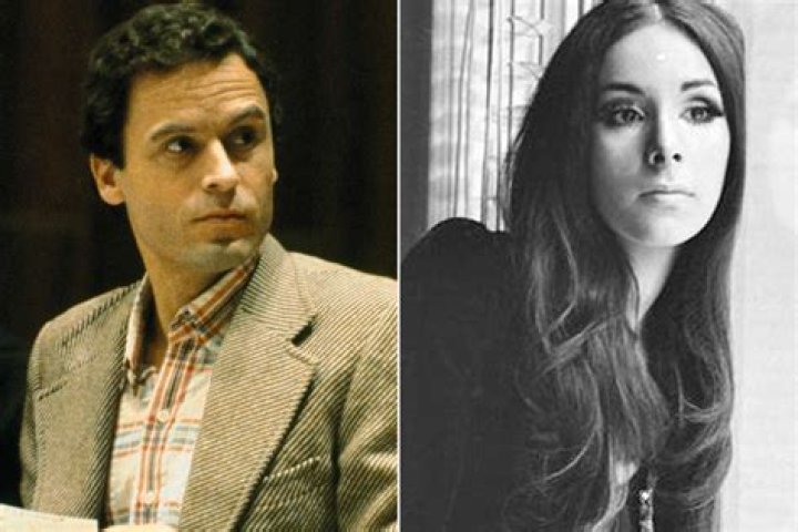 Unraveling The Dark Connection: Ted Bundy And Carole Ann
