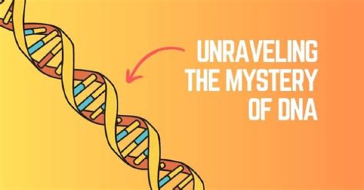 Unraveling The Mysteries Of Fomantis Evolution