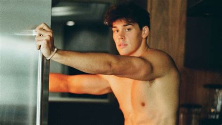 Unraveling The Mystery: Is Noah Beck Gay?