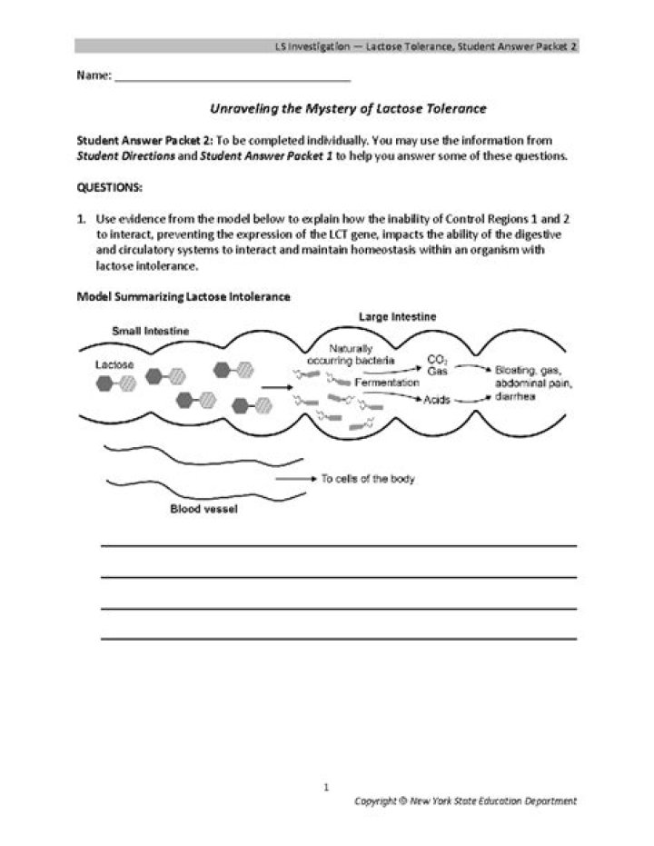 Unraveling The Mystery Of Cloning A Wiener: A Journey Into Science And Ethics
