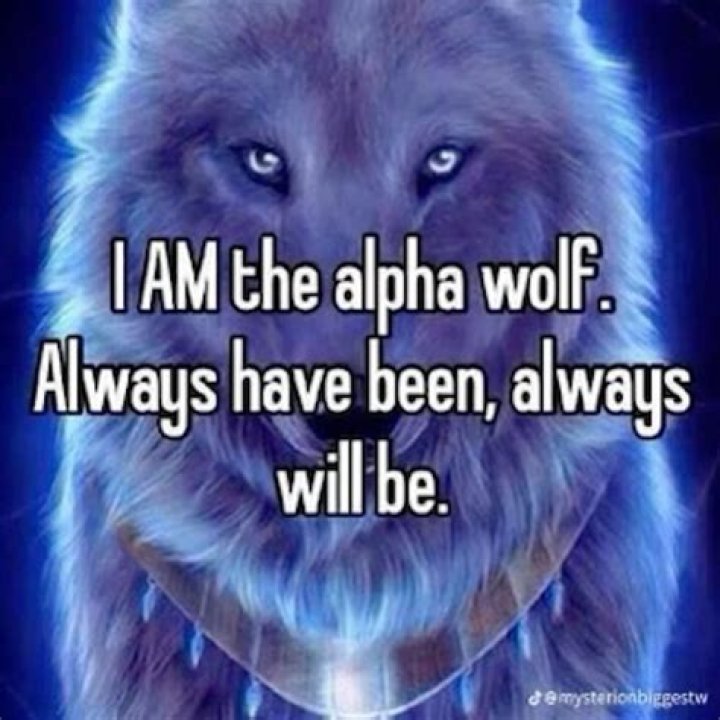Unveiling The Mystery Of Alpha Wolf Cringe