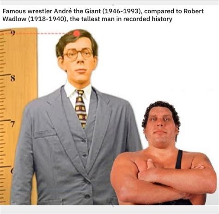 Was Andre The Giant Aware Of His Daughter: Uncovering The Facts