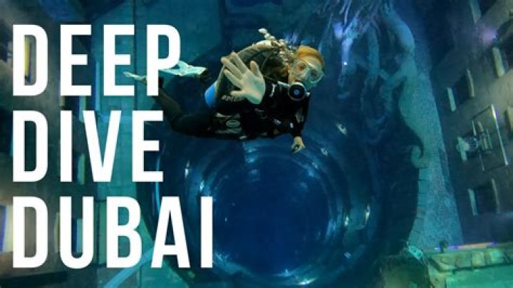 What The Hell: A Deep Dive Into The Phrase And Its Cultural Impact